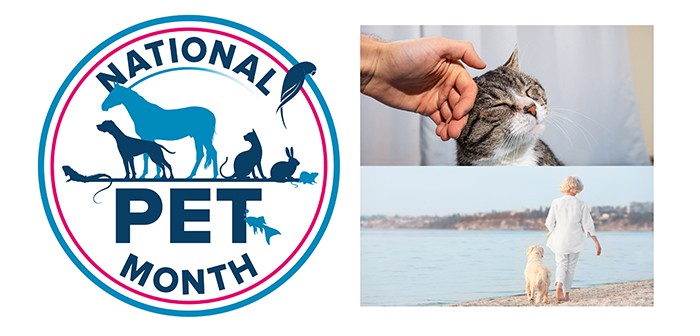 National Pet Month calls on pet lovers to get online and raise much