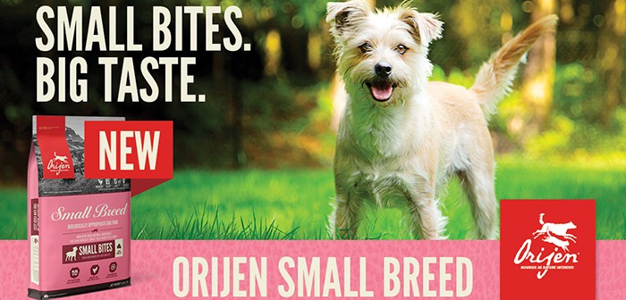 orijen pets at home