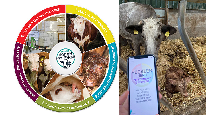 New Suckler Herd Performance App From MSD Animal Health | OvertheCounter